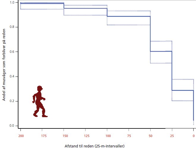 Figur 1: Toleranceafstande for 129 musvåger på rede i april-maj 2007 angivet som andelen af musvåger, der forbliver på reden som funktion af mindskende afstand til en observatør, som gradvist nærmede sig reden. De stiplede linier angiver 95 pct  sikkerhedsgrænser omkring den estimerede andel af musvåger, som forblev på reden. I analysen er der taget højde for, at musvåger undertiden kunne observeres uden at blive jaget af reden, hvorefter observatøren trak sig tilbage uden at forstyrre yderligere.