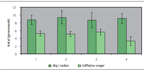 Figur 3: Gennemsnitligt antal æg sammenlignet med det gennemsnitlige antal udfløjne unger i hegn med henholdsvis ingen forstyrrelse (1), eksperimentel forstyrrelse (2), moderat forstyrrelse (3) og forstyrrelse med hurtig biltrafik på asfalteret vej (4). De lodrette linier i søjlerne viser 95pct konfidensintervaller.
