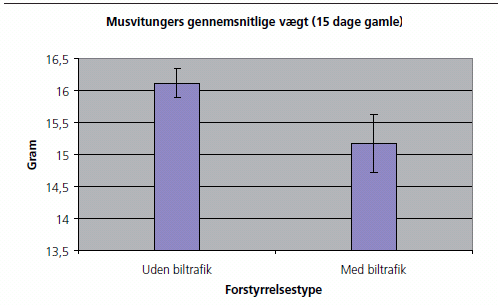 Figur 4: Musvitunger i levende hegn, hvor der ikke er biltrafik, vejer ca. et gram mere end unger, der opfodres i hegn langs veje med biltrafik. De lodrette linier i søjlerne viser 95 pct. konfidensintervaller.