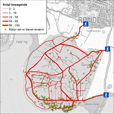 Figur 1: Eksempel på simulering af forstyrrelse af rådyr i Hestehaven (Djursland). Stregtykkelsen på stinettet angiver antallet af agenter (besøgende), der har været på det pågældende sted over et døgn. Gule stjerner angiver, hvor rådyr er blevet skræmt op. Skov-Petersen et al. 2009.