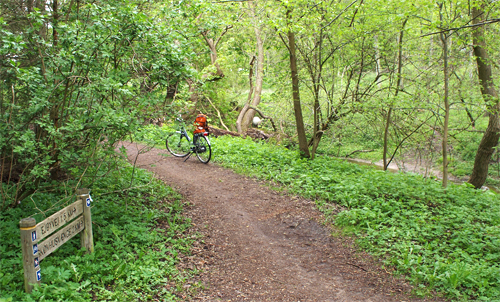Køge Å-stien er både godt formidlet og skiltet og anvendes hyppigt af både gående og cyklister.