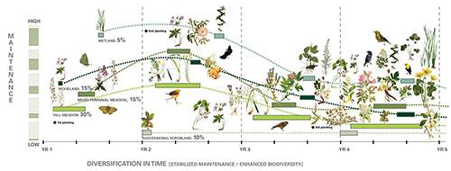 Sammenhængen mellem tid, biodiversitet og udgifter til vedligehold i High Line-projektet, New York.