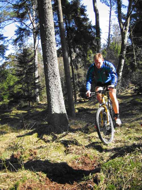 Figur 3: Slitage med cykel. Tisvilde Hegn.