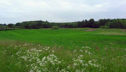 Indsigt til Ringsted By fra fremtidigt byudviklingsområde ved Torpet.