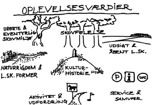 Figur 1. Figuren viser de 7 forskellige oplevelsesværdier, som defineres og udpeges i forbindelse med kortlægningen. De er inspireret af ROS-metoden (Recreation Opportunicy Spectrum), der er udviklet i USA og efterfølgende blevet forenklet og tilpasset danske forhold af Skov & Landskab.