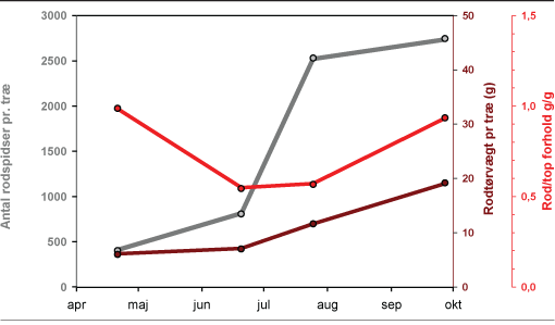 Figur 1. Rodsystemets udvikling efter forårsplantning, målt i antal rodspidser (grå), rodtørvægt (brun) og rod/topforhold (rød). Bemærk forskellig Y-akse til hver graf. Data fra Andersen m.fl. 2006.