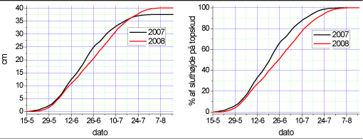 Figur 2. Vækstforløbet af topskud i 2007 og 2008. Tallene er baseret på gennemsnit af 40 træer. A. Det absolutte forløb målt i cm. B. Relativt forløb i forhold til de enkelte års samlede topskudsvækst.