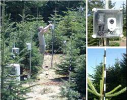 Figur 1. Opstillinger af webcams med vand tætte fotohuse og måletræer med målepinde på »foto-træerne«. Fotos: Lars Bo Pedersen