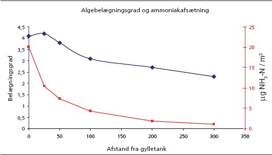 Figur 2. I et forsøg blev algebelægninger kraftigere, jo tættere de groede på svinefarmen (blå kurve). Dette stemmer overens med ammoniakafsætningen (rød kurve), som ligeledes bliver højere jo kortere afstand til gylletankene. Data om ammoniakafsætningen er venligst udlånt af Kasper Berthelsen og Henrik B. Olsen, Biologisk Institut, Københavns Universitet.