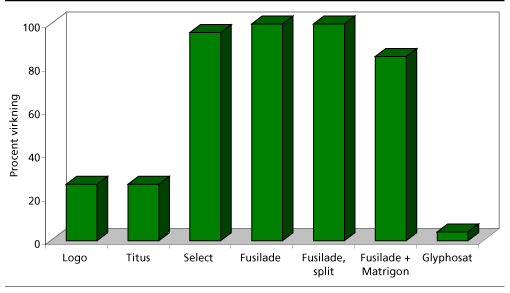 Figur 3. Praktisk afprøvning af forskellige herbicider til bekæmpelse af hanespore i juni måned. Effekten er bedømt i august. Der er anvendt højeste godkendt dosering, undtagen Glyphosat, som er udbragt med 0,5 l/ha. Den bedste virkning opnås med Fusilade (se også figur 1), men Select giver næsten samme effekt.