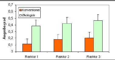 Figur 1. Angreb af alm. ædelgranlus i tre afstande fra læhegnet. Række 1 er lige ved siden af læhegnet. Række 2 er i en afstand af 1-2 gange læhegnshøjden. Række 3 er midt på arealet. Gennemsnit for samtlige optællinger i 2001, hvor der blev registreret +/÷ forekomst af ædelgranlus (skala 0-1). Røde søjler = konventionelle; grønne søjler = økologiske. På grund af den store variation (angivet med lodrette streger) er der ikke signifikant forskel, trods den tydelige tendens som bekræftes ved analyse af data på lokalitetsniveau.