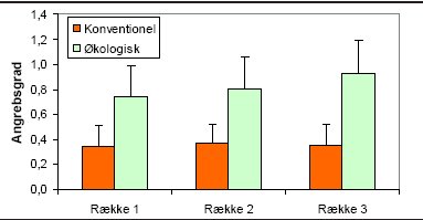 Figur 2. Angreb af alm. ædelgranlus i tre afstande fra læhegnet (se figur 1). Gennemsnit for samtlige prøver i 2002, hvor skalaen 0-5 blev anvendt (røde søjler = konventionelle; grønne søjler = økologiske). På grund af den store variation (angivet med lodrette streger) er der ikke signifikant forskel, trods den tydelige tendens på de økologiske arealer, som bekræftes ved analyse af data på lokalitetsniveau.