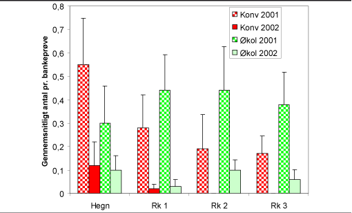 Figur 3. Et eksempel på hvorledes fund af en insektfamilie fordeler sig i prøverne: Antallet af rovbiller (Staphylinidae) i bankeprøverne fra begge år og begge arealtyper. I begge år er der flere rovbiller på de økologiske arealer i forhold til de konventionelle. I læhegnene er det omvendt.