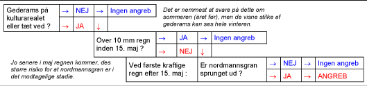 Figur 1. Afklaring af risiko for angreb af ædelgran-gederamsrust i nordmannsgran. Svaret på, om forudsigelsen var rigtig, kommer i juli, når de hvide rør ses på nålene (se Videnblad 5.6-1).