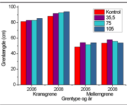 Figur 1. Grenlængden hos kransgrene på Næsbyholm blev forøget af gødskning med N, mens mellemgrene ikke blev påvirket af behandlingen.