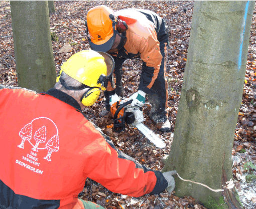 Alle sikkerhedsaspekter gennemgås og øves på Skovskolens kurser om motorsav og savning. Foto: Simon Skov