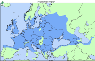 Kort over udbredelse af ask i Europa