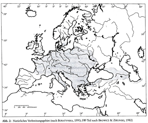 Kort over udbredelse af avnbøg i Europa