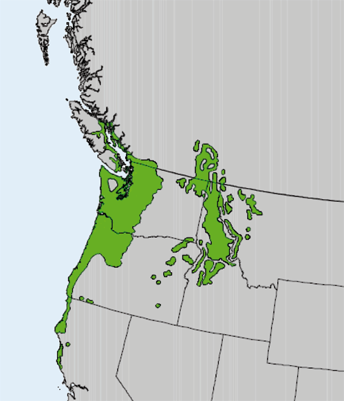 Kort over udbredelse af grandis (kæmpegran)