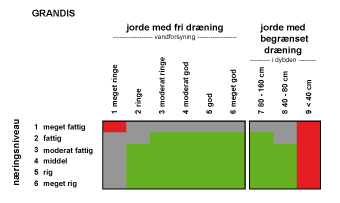 Grafisk angivelse af jordbundskrav for grandis