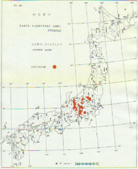Kort over udbredelse af japansk lærk