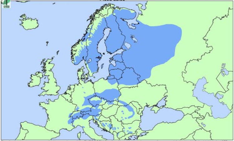 Kort over rødgrans udbredelse i Europa