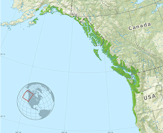 Kort over Sitkagrans naturlige udbredelse
