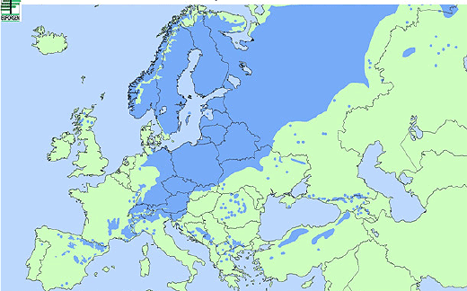 Kort over skovfyrs naturlige udbredelse 
