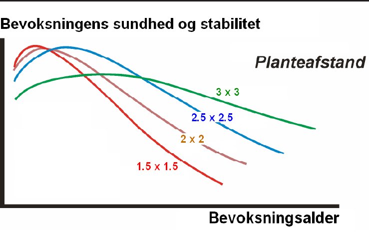 Principskitse af stabilitetsudviklingen som funktion af bevoksningsalder og planteafstand