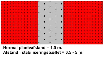 Stabiliseringsbælte i kultur