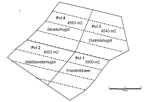 Skitse over demonstrationsforsøg i rødgran/douglasgran.