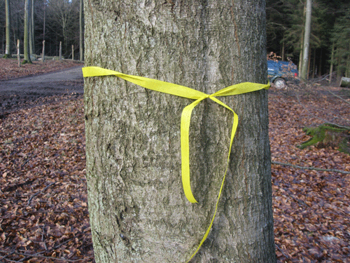 Afmærkning af kørespor kan ske med bånd, hvor knuden skal vende ind mod sporet.