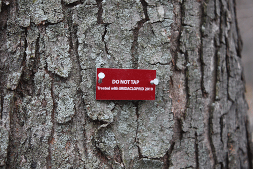Mærkat på træ som viser, at det er injiceret med insekticid.
