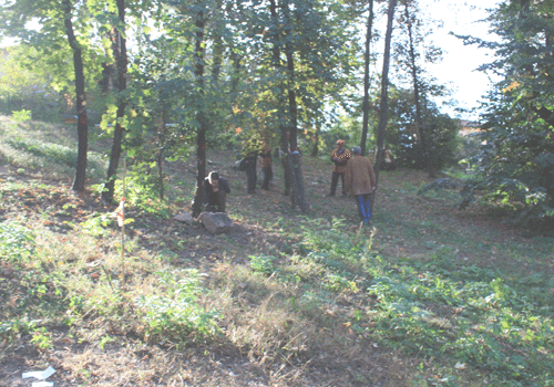 Eftersøgning af træer med angreb af citrustræbuk i Lombardiet, nær Milano.