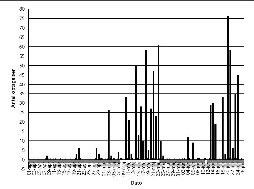 Figur 1. Oversigt over hele perioden: Antal optagelser med rådyr per dag. Den mørkegrå linie angiver de dage, hvor der var heste i indhegningen. Den lysegrå linie de dage, hvor der er optagelser fra hele dagen.