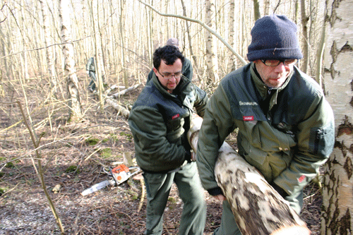 Skovhjælpere i Naturcenter Herstedhøje