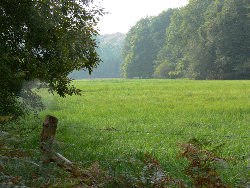 Landskab med både skov og åbne områder