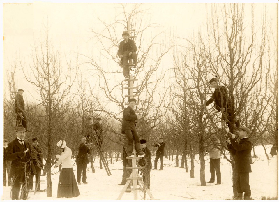 Havebrugsskolen Vilvorde i starten af 1900-tallet
