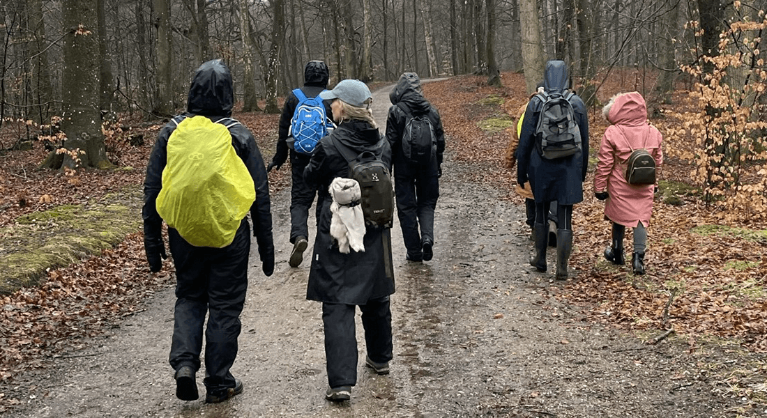Mennesker der går i skov