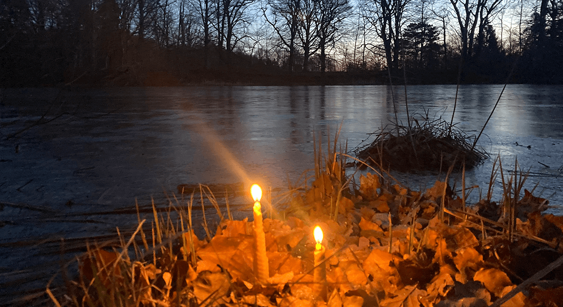 Bål ved skovsø