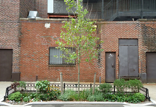 Et ROWB plantebed med gade-/vejtræ. Kilde: New York City Department of Environmental Protection, udateret.