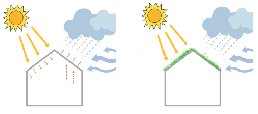 Figur 1. Grønne tage kan køle i varme perioder og lune i kolde.