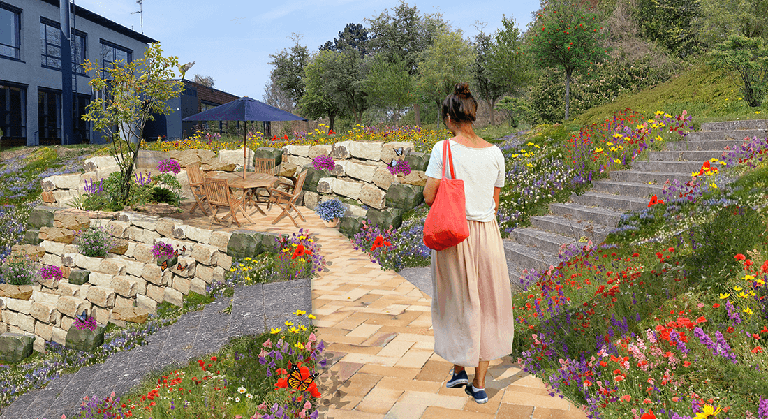 Illustration der viser nedsænket terrasse adskilt fra naturzone