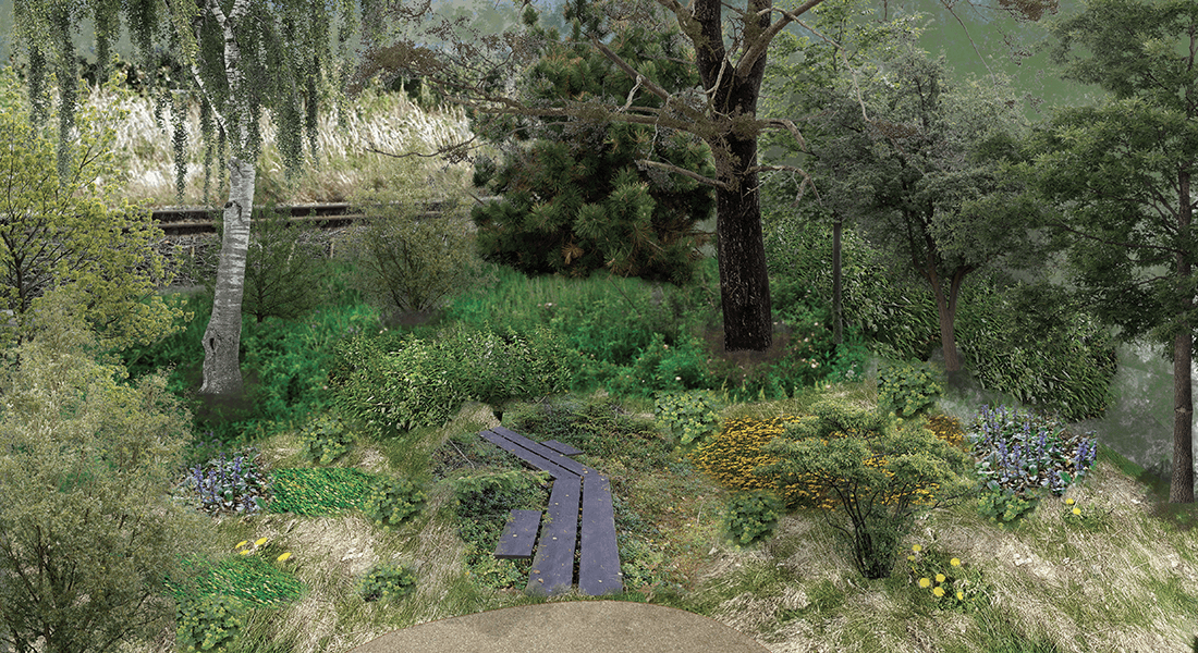 Illustration der vise naturzone fra en bjælkesti