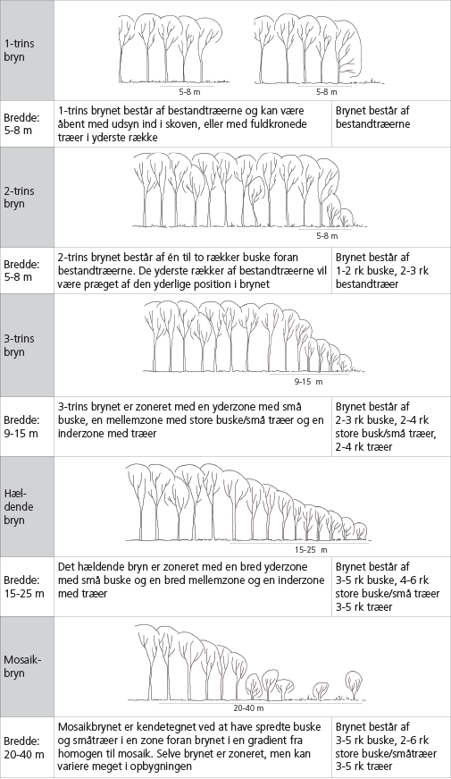 Figur 2. Forslag til definition af skovbryns strukturelle opbygning.