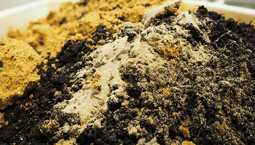 Filterjordens egenskaber afhænger bl.a. af jordens tekstur, dvs. fordelingen mellem sand, silt, ler og organisk materiale. Foto: Beke Katharina Jeschkies