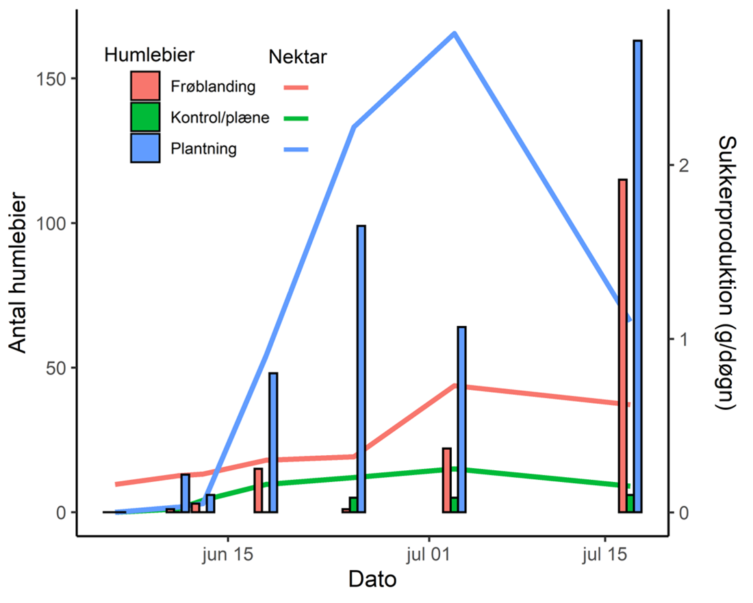 Diagram med 5 x 3 søjler og 3 kurver. Behandling P har størst nektarproduktion og flest humlebier.