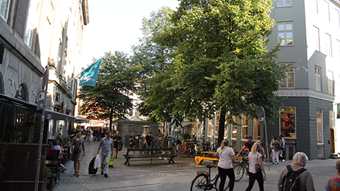 Træet i byen er en del af et samlet miljø og vurdering af denne sammenhæng indgår i VAT03-beregningen. Her lindetræer i Kejsergade i København, 2016. Foto: Jan Støvring