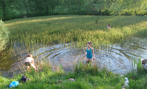 Alle må bade i søer i offentlige skove og på offentligt ejede udyrkede arealer. Lavvandede søer bliver hurtigt varme. Foto: Lasse Baaner 