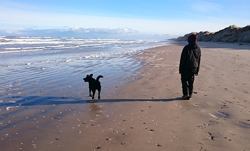 I vinterhalvåret må hunden løbe løs på stranden. Fotograf Lasse Baaner
